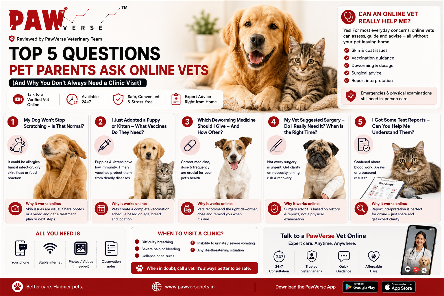 5 Questions Pet Parents Ask a Vet Online