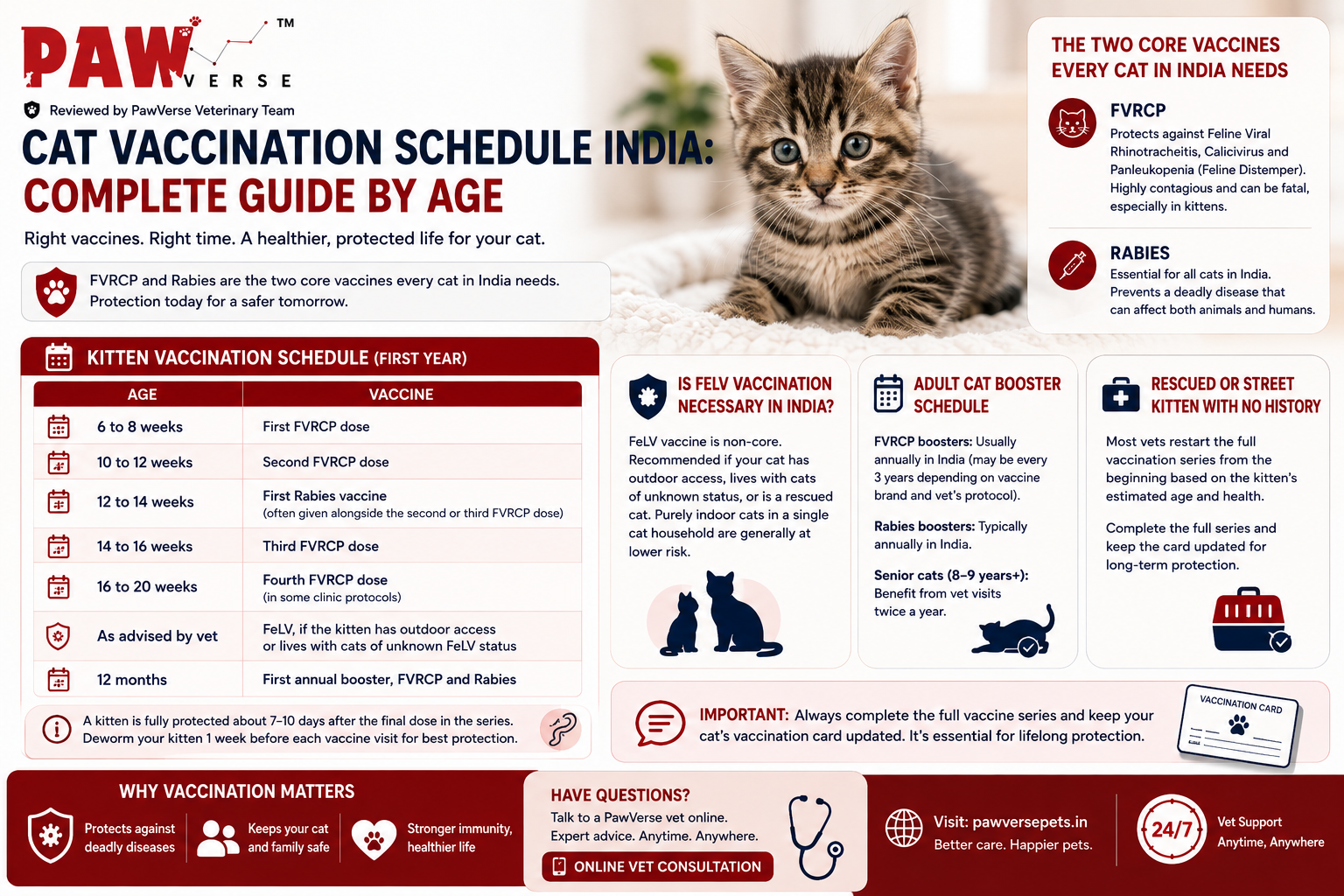 Cat Vaccination Schedule India: Complete Guide by Age