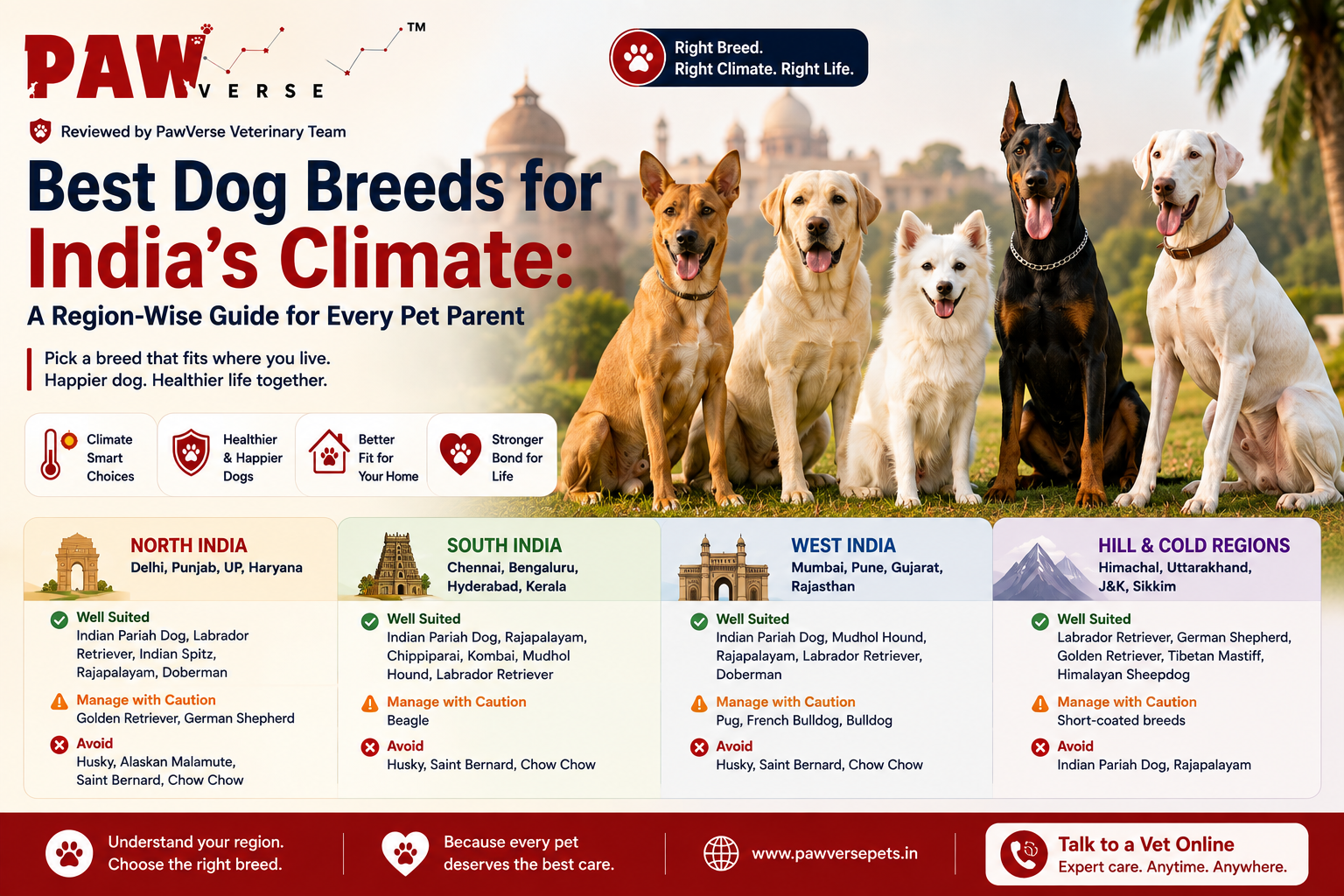 Best Dog Breeds for India's Climate: A Region-Wise Guide for Every Pet Parent
