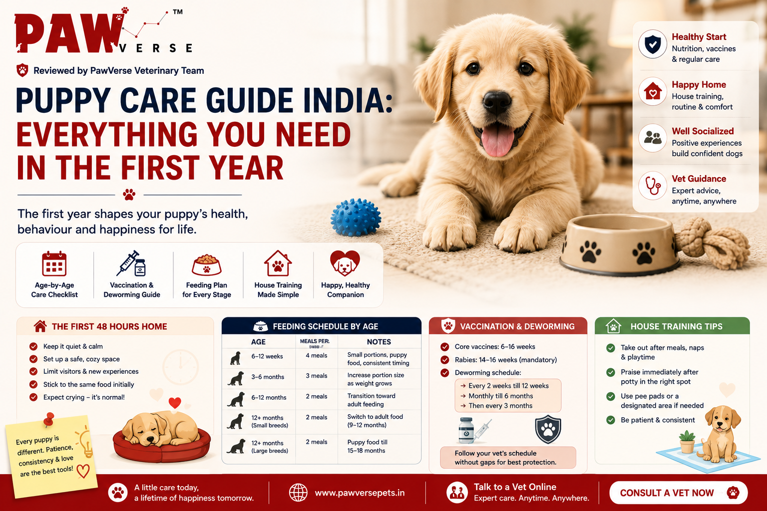 Puppy Care Guide India: Everything You Need in the First Year