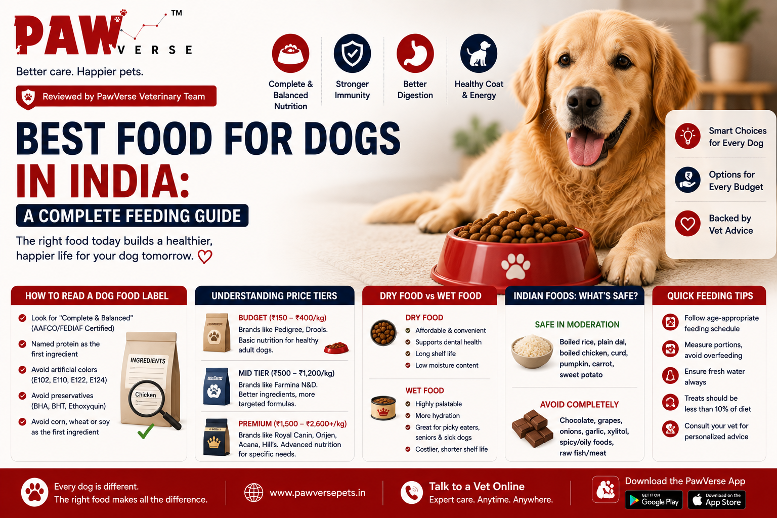 Best Food for Dogs in India: A Complete Feeding Process
