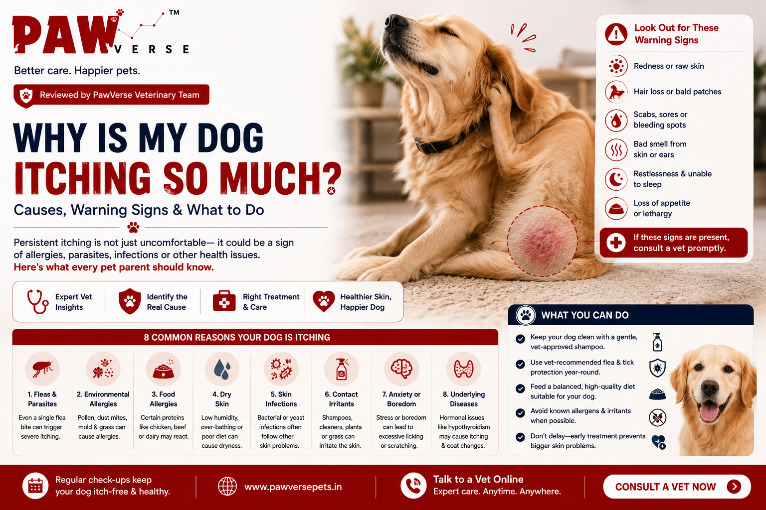 Why Is My Dog Itching So Much? Causes, Warning Signs & What to Do