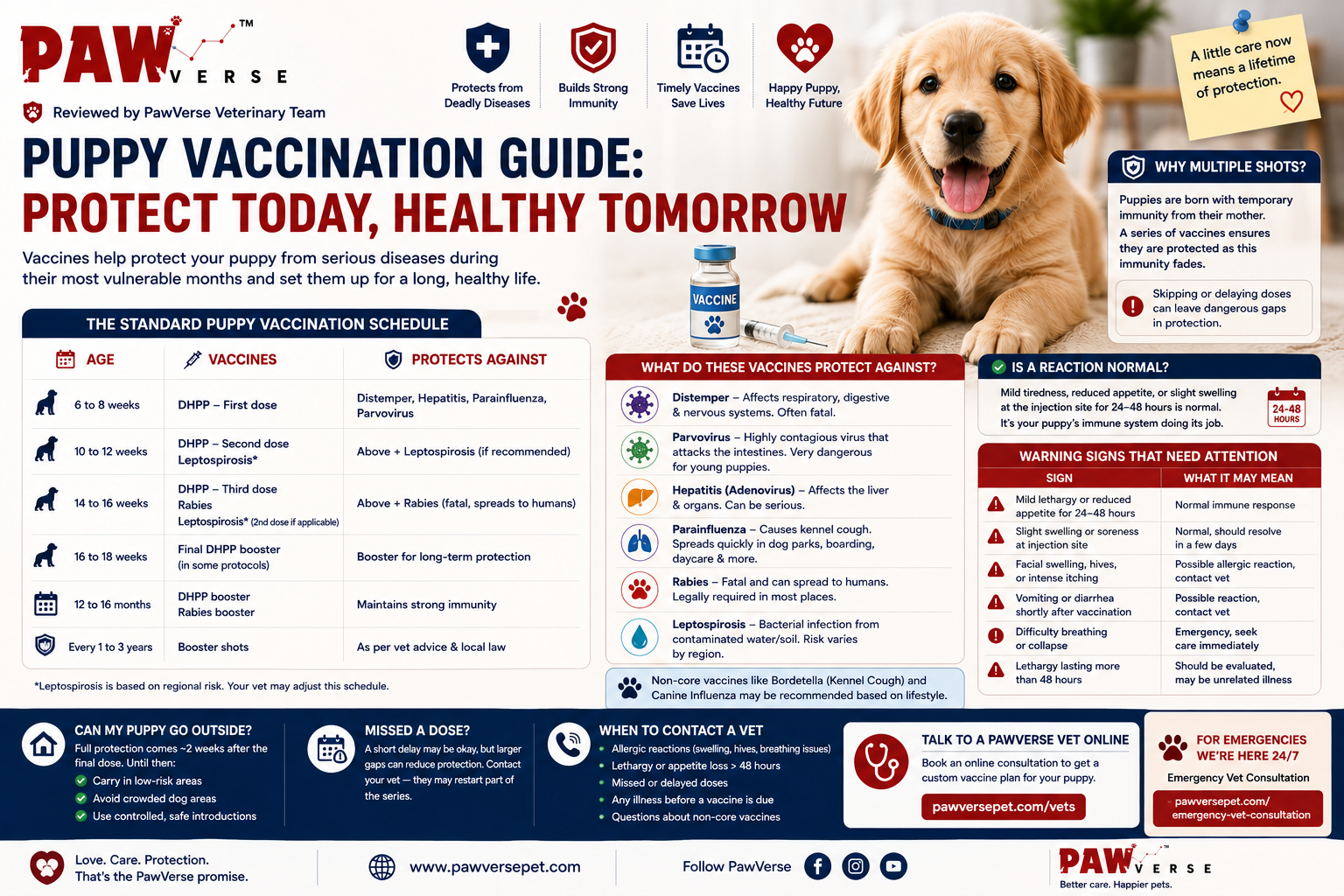 Puppy Vaccination Schedule: What Shots Your Puppy Needs and When