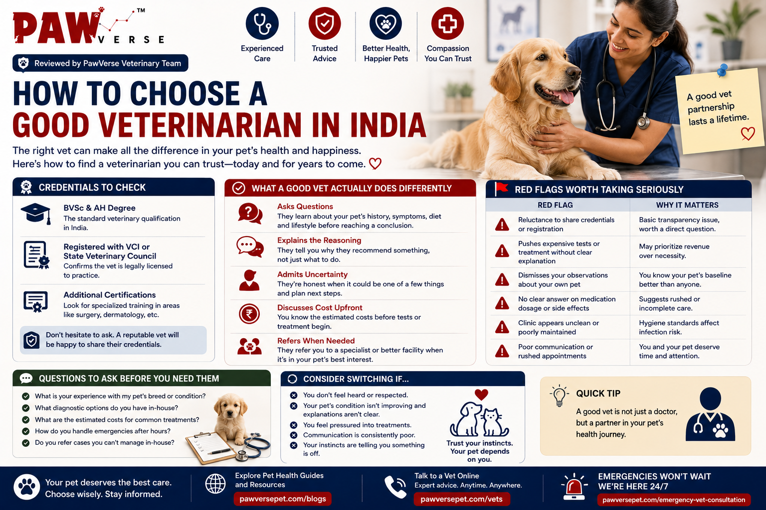 How to Choose a Good Veterinarian in India