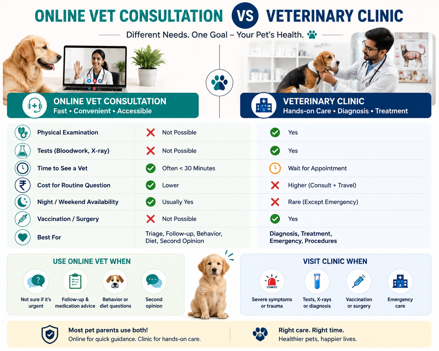 Online Vet Consultation vs Veterinary Clinic