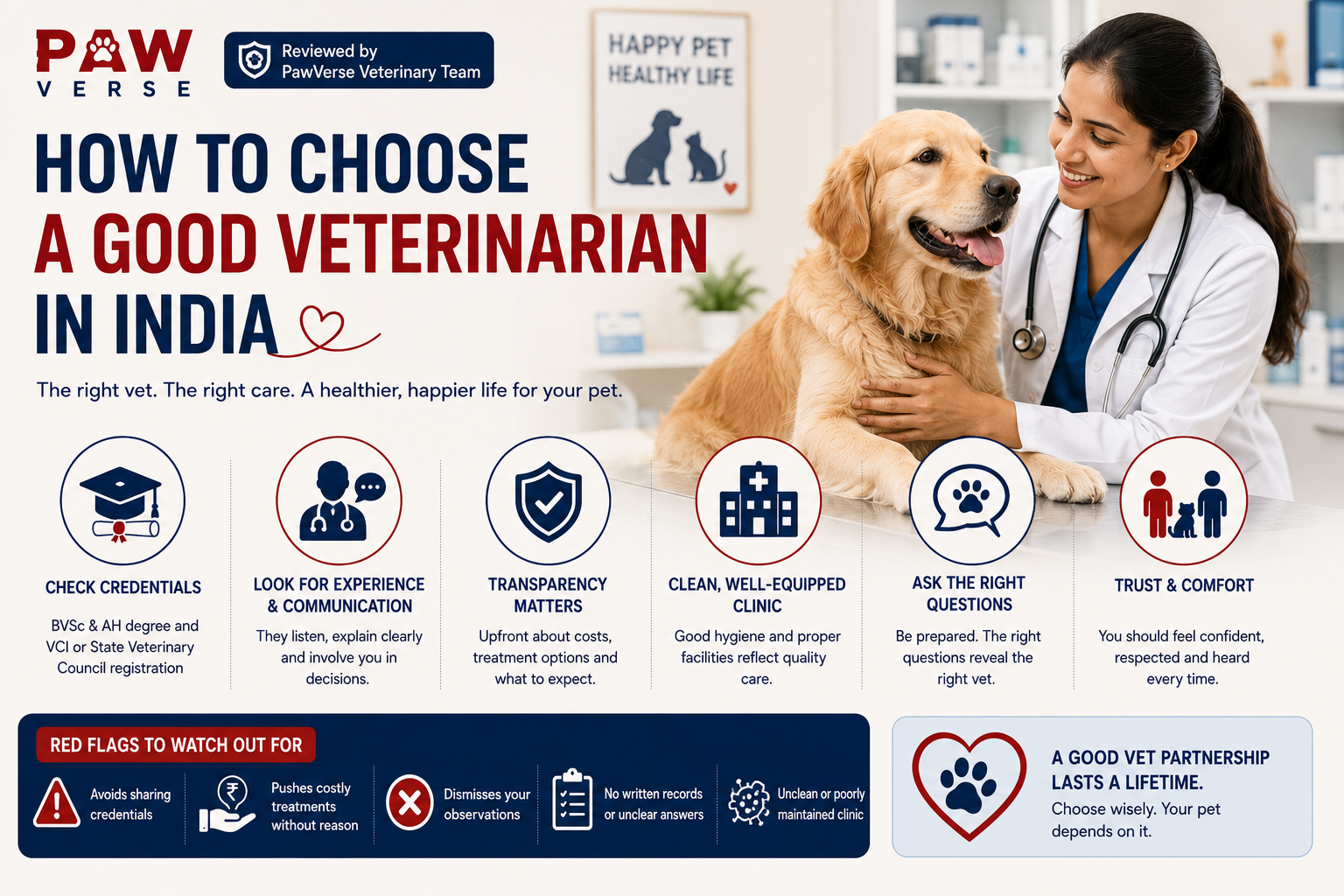 How to Choose a Good Veterinarian in India