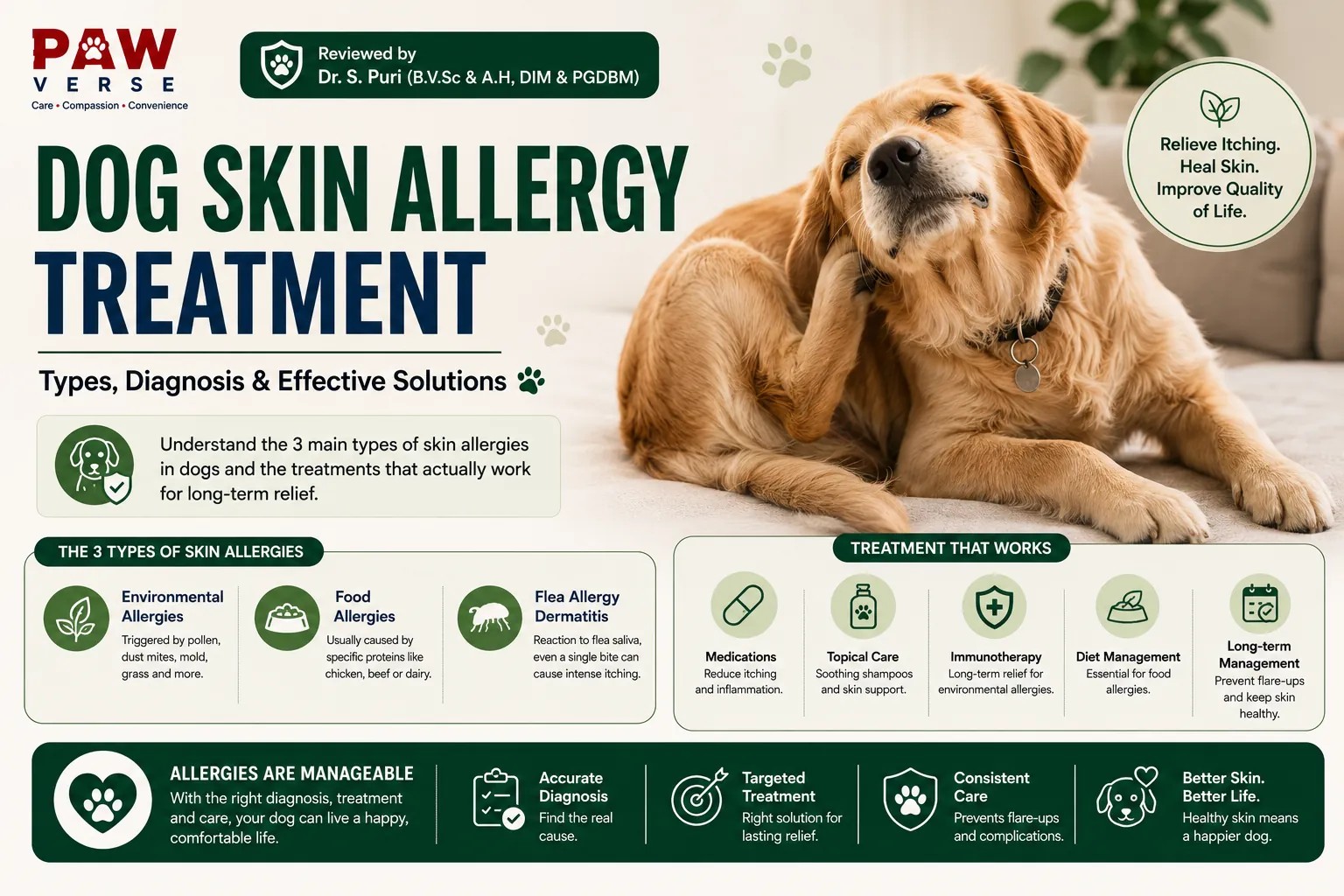 Dog Skin Allergies: Symptoms, Causes & Treatment
