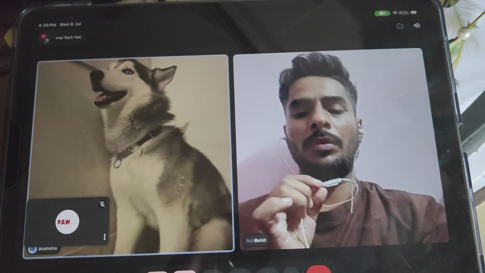 Three Consultations, Three Follow-Ups, and a Husky in Kashmir Who Got Better