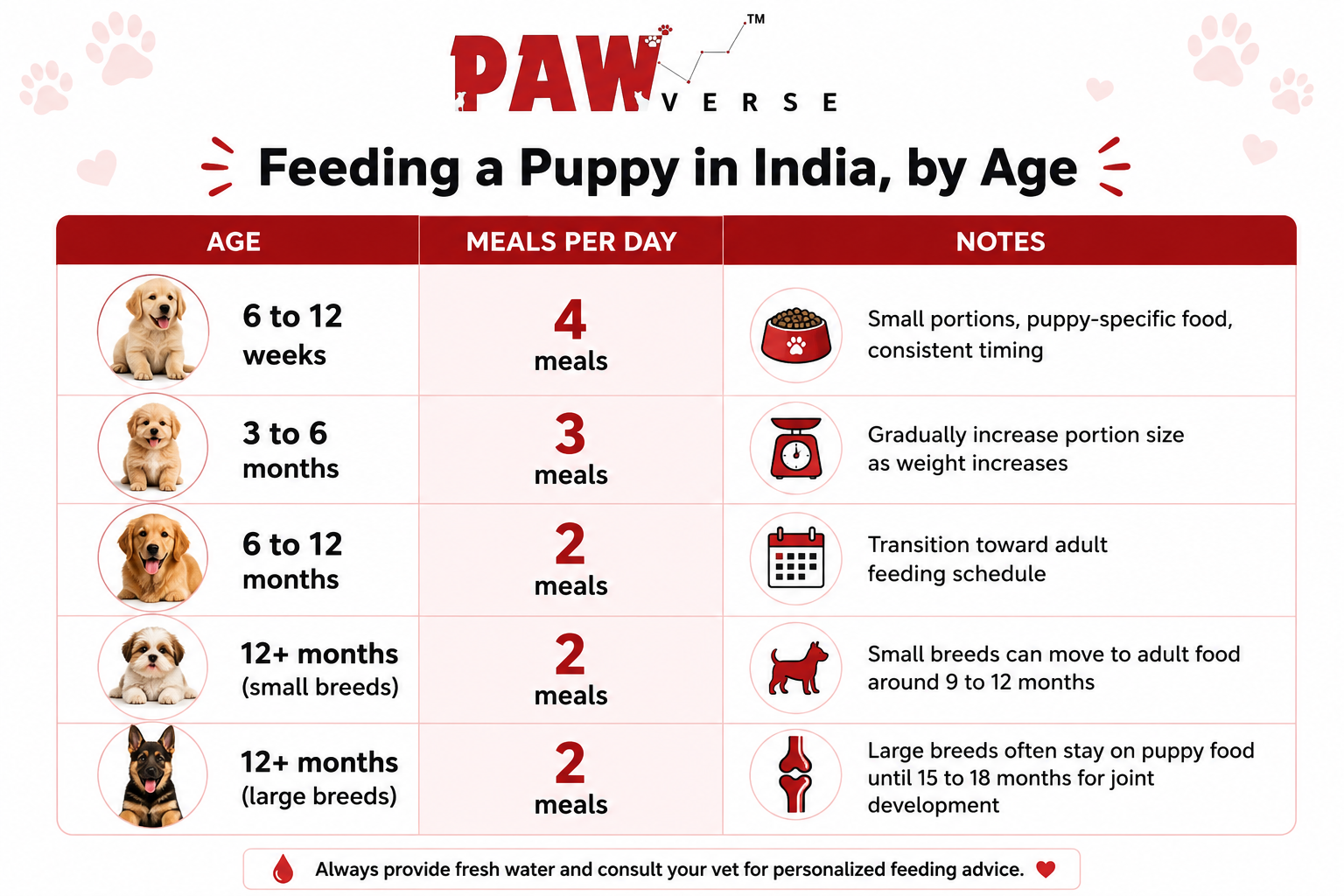 Puppy Feeding Guide by Age