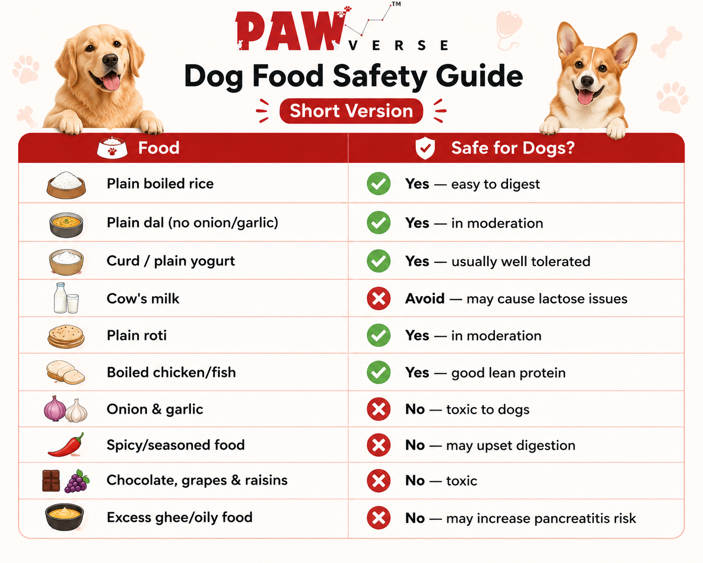 Dog Food Safety Guide