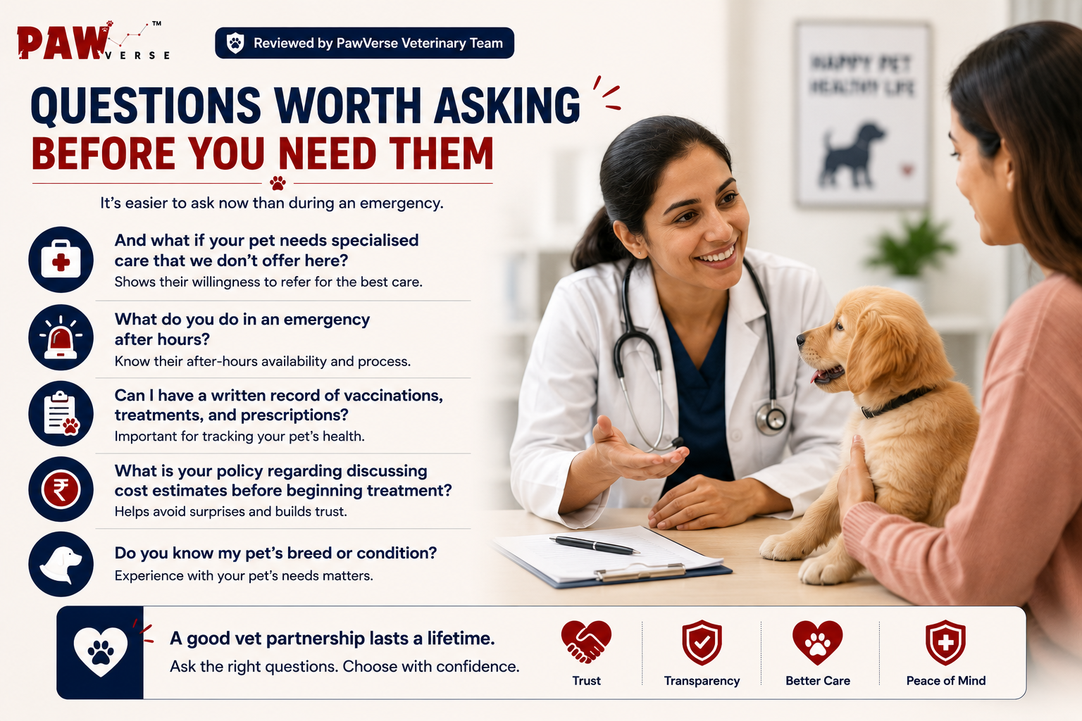 Questions Worth Asking Before Veterinary Emergencies