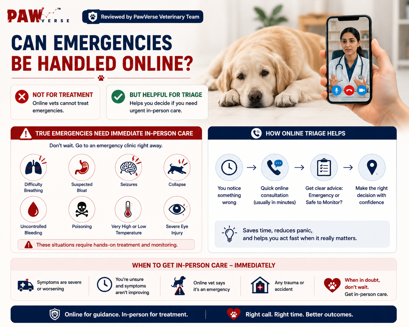 Can Emergencies Be Handled Online?