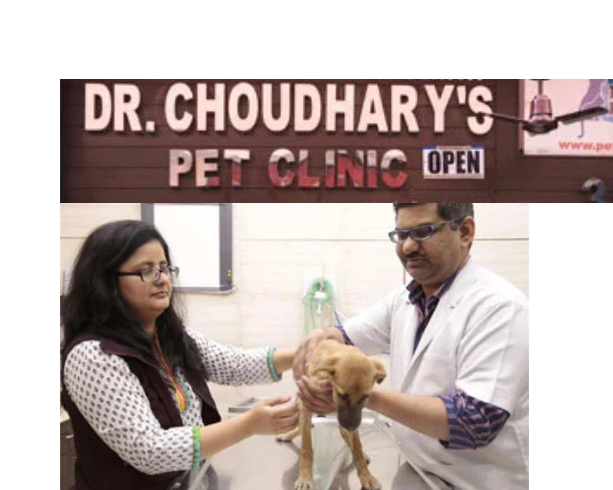 Dr. Choudhary’s Pet Clinic